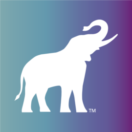staging-client-portal.pages.dev favicon